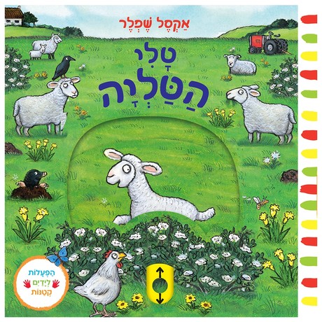 טלי הטליה  - דפי קרטון