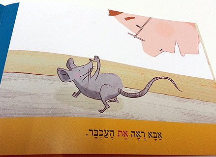 מארז הלימוד "אני קורא"- 20 ספרונים ללימוד קריאה