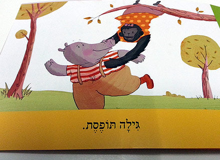 מארז הלימוד "אני קורא"- 20 ספרונים ללימוד קריאה