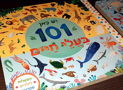 יש כאן 101 חיות | 101 יצורי ים | 101 כלי תחבורה - ספרים בחיתוך מיוחד - דפי קרטון