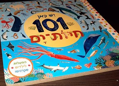 יש כאן 101 חיות | 101 יצורי ים | 101 כלי תחבורה - ספרים בחיתוך מיוחד - דפי קרטון