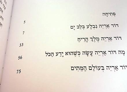 הרפתקאות דוד אריה - הסדרה המצליחה לראשית קריאה